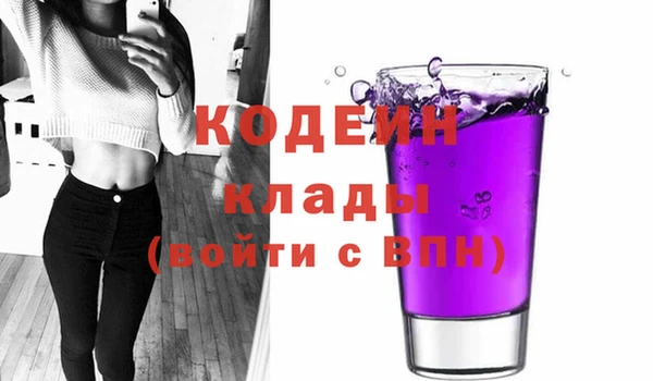 крисы Кулебаки