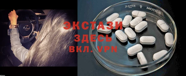 крисы Кулебаки