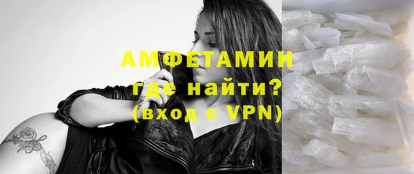 крисы Кулебаки