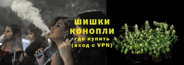 крисы Дедовск