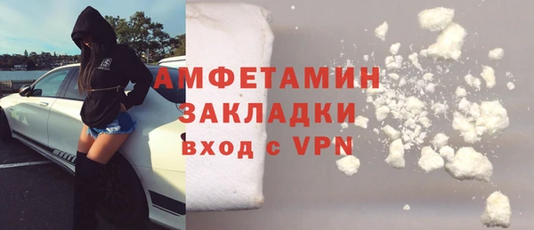 крисы Дедовск