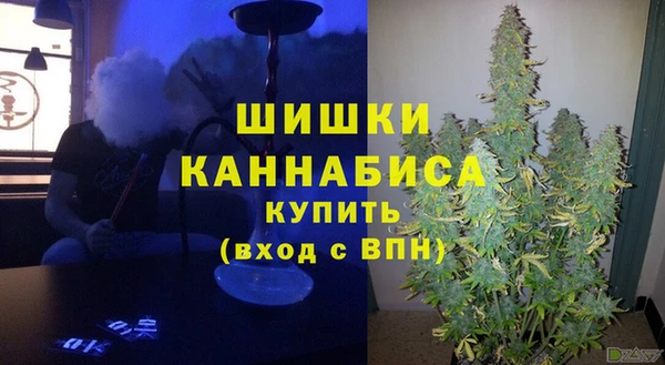 крисы Кулебаки