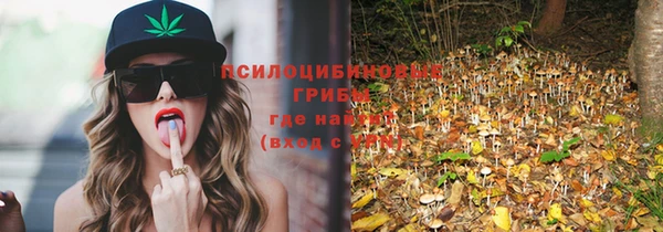 прущие крисы Кукмор
