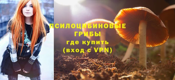 прущие крисы Кукмор