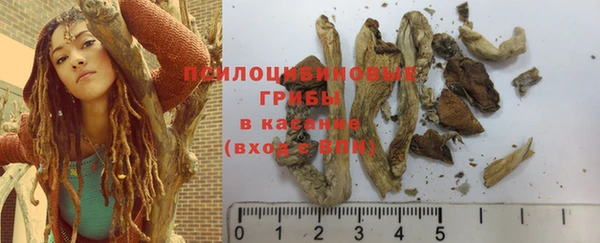 прущие крисы Кукмор