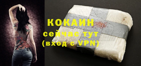 крисы Кулебаки