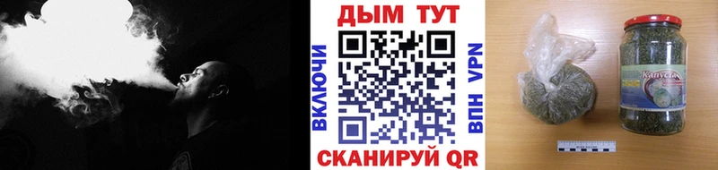kraken как зайти  Магас  Бошки марихуана семена 